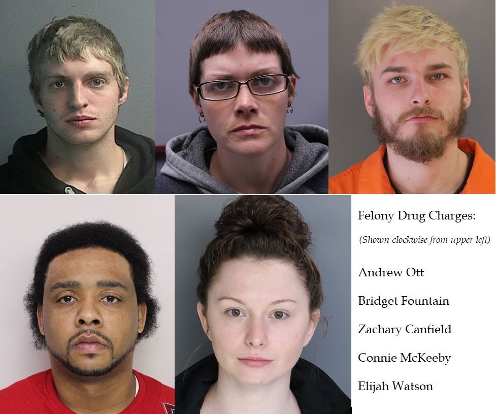 Five arrested for heroin sales in Wayne County.