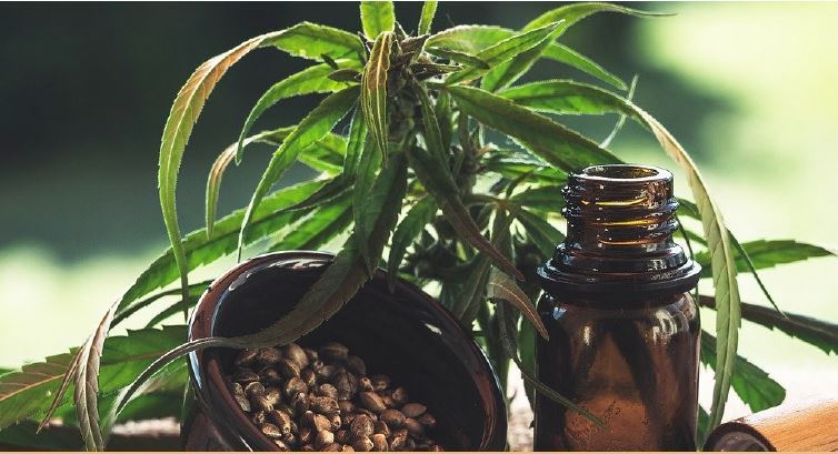 An image of a hemp plant and value added products like seeds and oil.