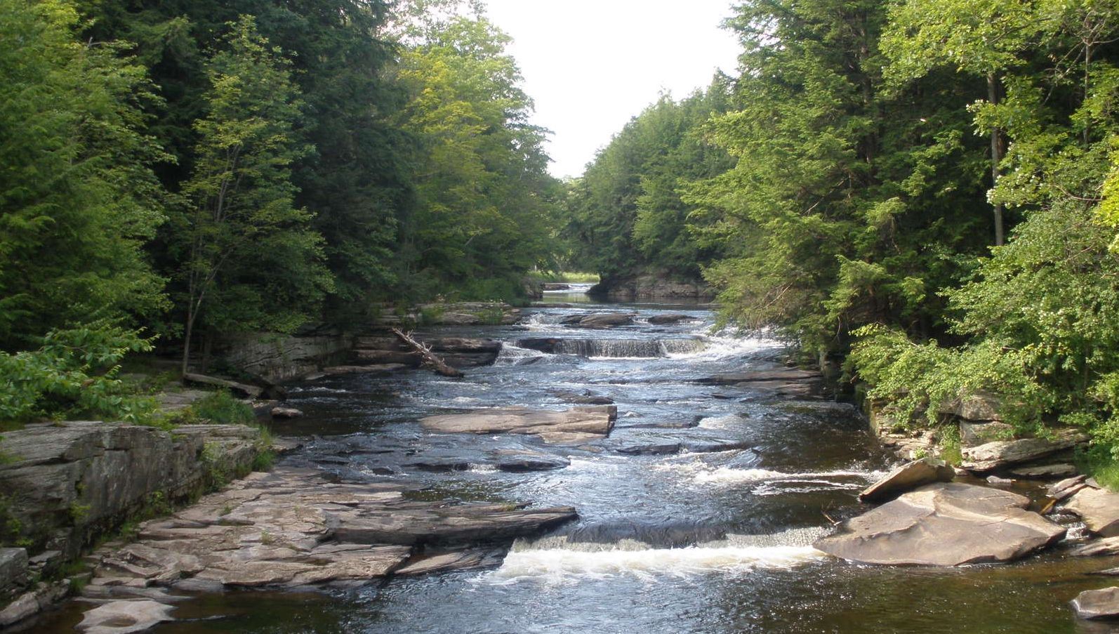 Wayne County Stream