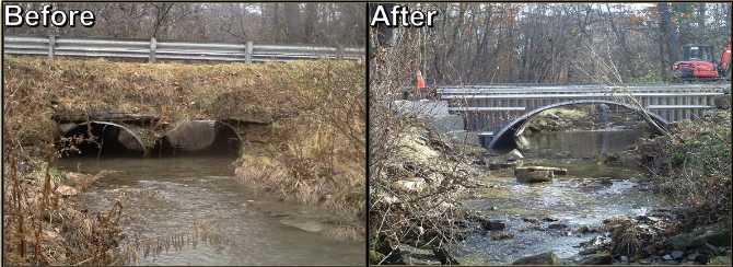 DGLVR before and after 2