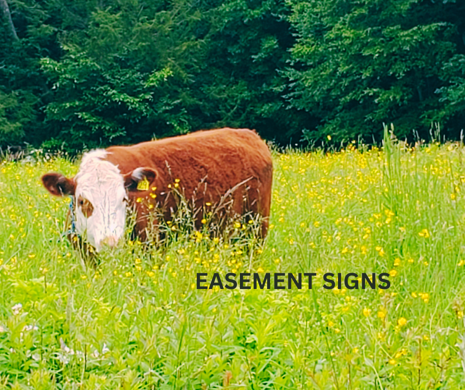 Add a subheading (24)